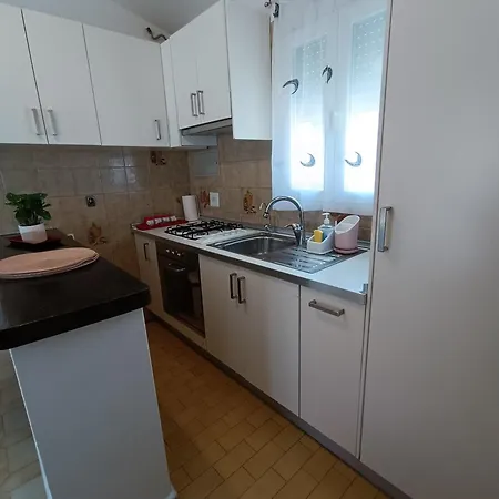 فيلة Kristalina *