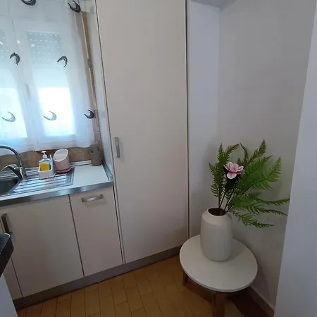 فيلة Kristalina *