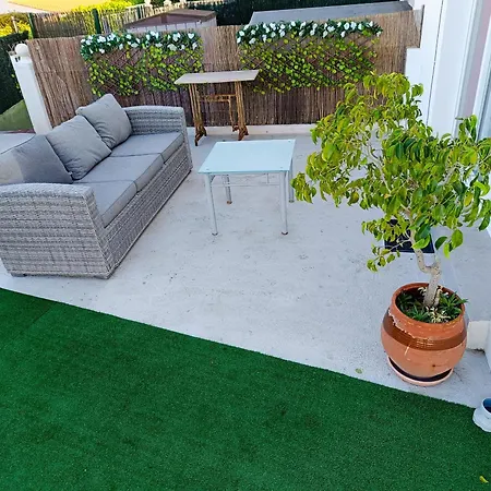 فيلة Kristalina *